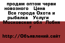 продам оптом черви новозного › Цена ­ 600 - Все города Охота и рыбалка » Услуги   . Московская обл.,Лобня г.